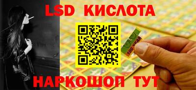 прущие грибы Будённовск