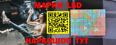 прущие грибы Будённовск