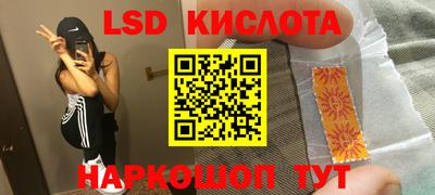 прущие грибы Будённовск