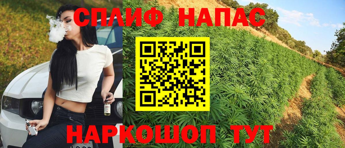 Марихуана сатива  Канабис Ganja  Каннабис Ganja  Вход с VPN  Тосно 